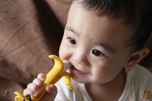 歯固めを噛む赤ちゃん