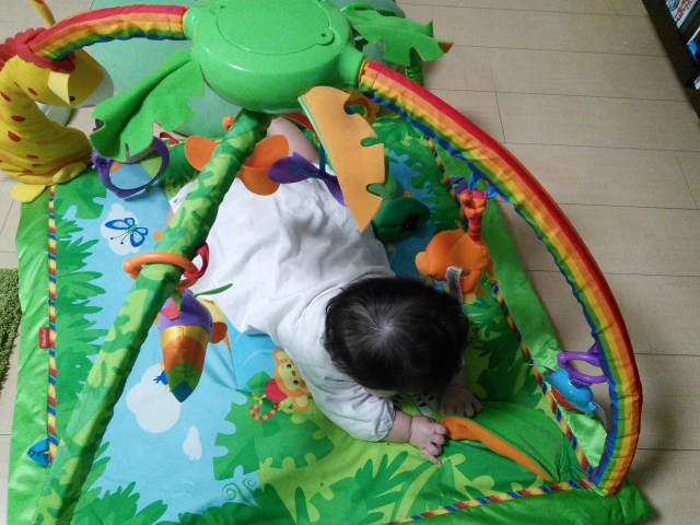 ベビージムで遊ぶ赤ちゃん