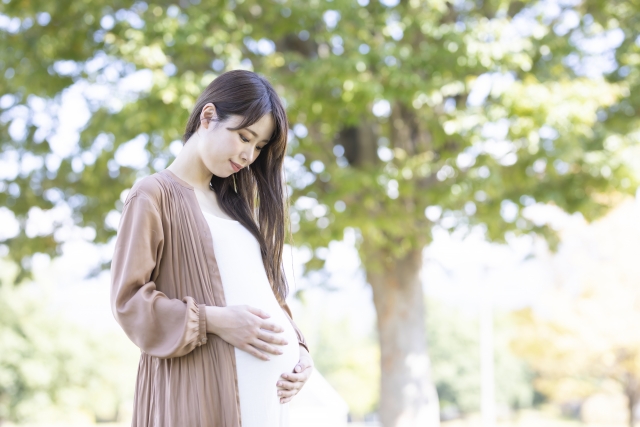 妊娠中の女性