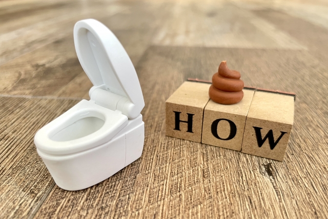 トイレの模型とHOWの文字