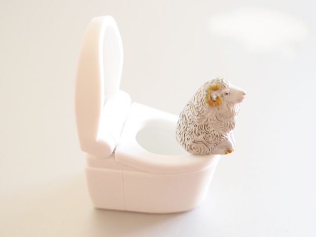 トイレの模型
