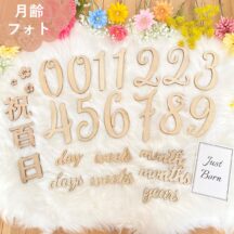 月齢フォト＆祝百日22点セット 木製 レターバナー マンスリーカード　月齢カード　100日祝い