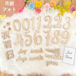 月齢フォト＆祝百日22点セット 木製 レターバナー マンスリーカード　月齢カード　100日祝い